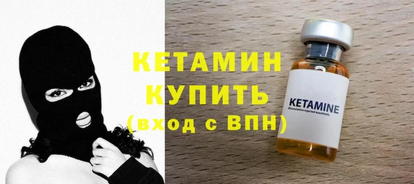 гидра Абаза