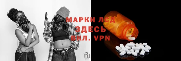 гидра Абаза