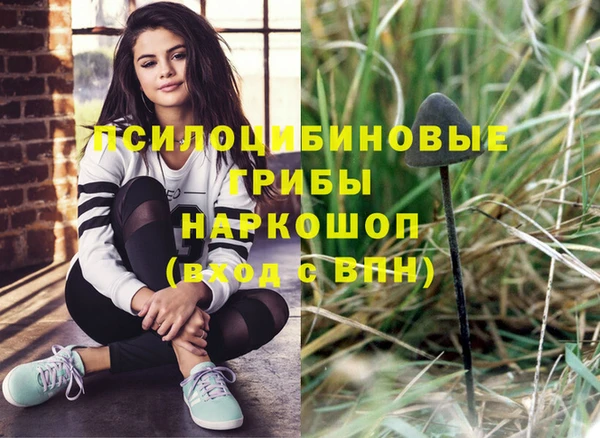 бошки Абинск