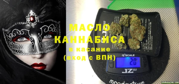 гидра Абаза