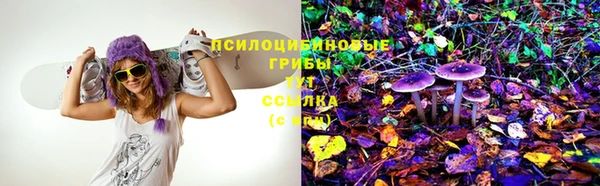 бошки Абинск