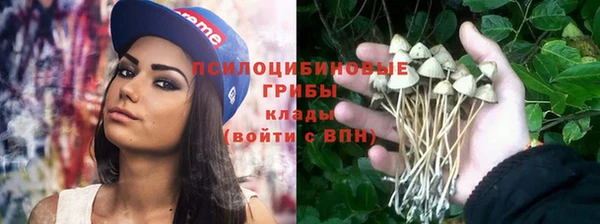 гидра Абаза