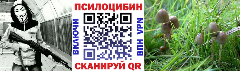 Псилоцибиновые грибы Psilocybine cubensis  как найти   мега ссылки  Тарко-Сале 